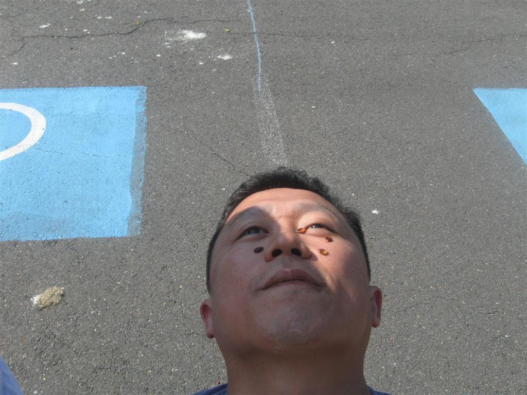 IMG_1462 (Large).jpg